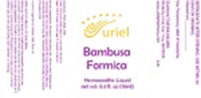 Bambusa Formica 10ml Bottle